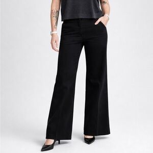 Hinge Flared Pants- size 6